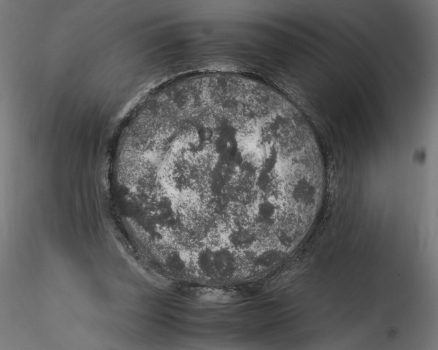 X0000116100347200912211616