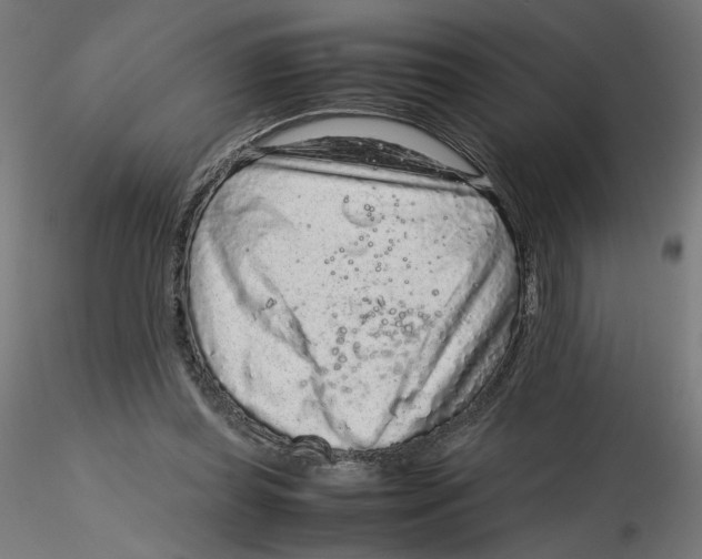 X0000116100349200912211616