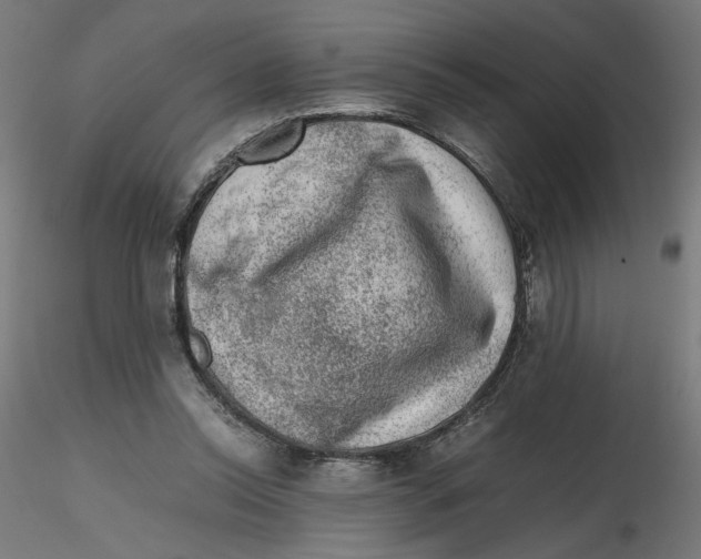 X0000116100350200912211616