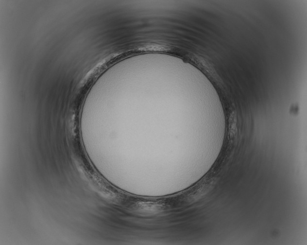 X0000116100351200912211616