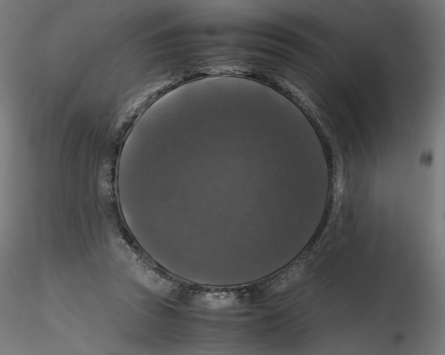 X0000116100353200912211616