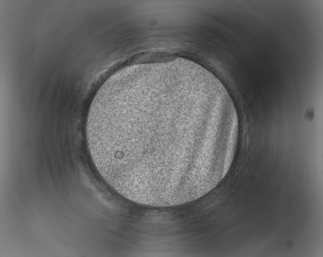 X0000116100354200912211616