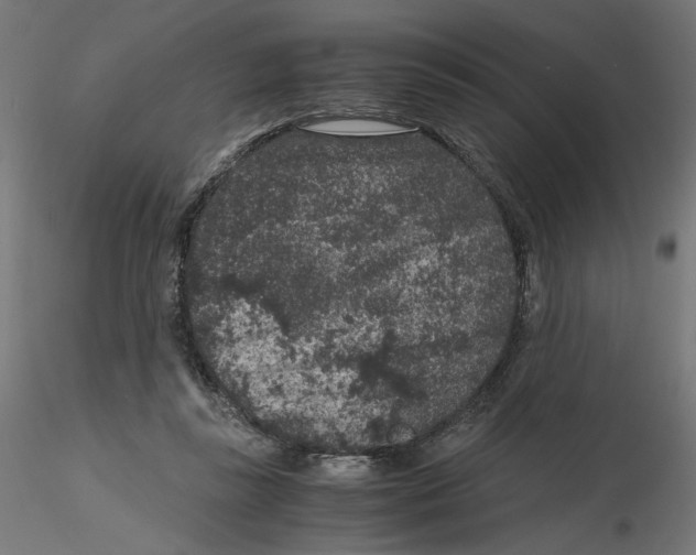 X0000116100355200912211616