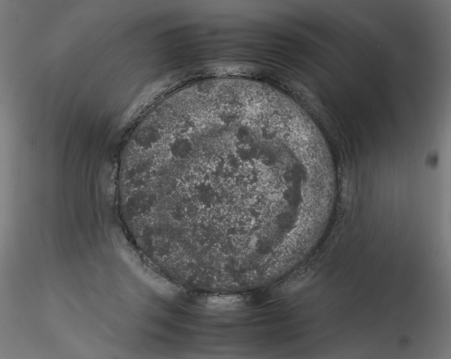 X0000116100357200912211616