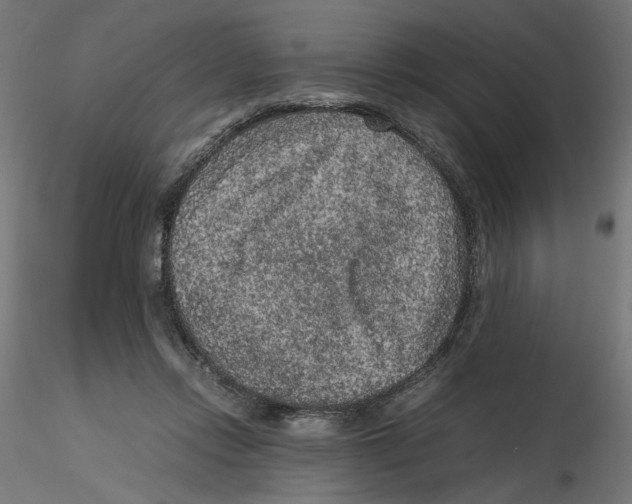 X0000116100358200912211616