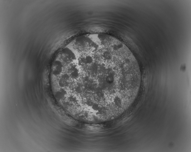 X0000116100359200912211616