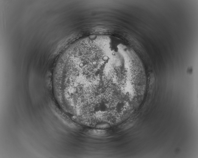 X0000116100361200912211616