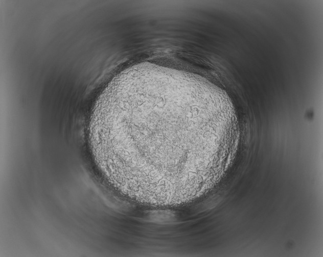 X0000116100363200912211616