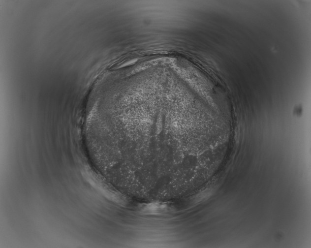 X0000116100366200912211616