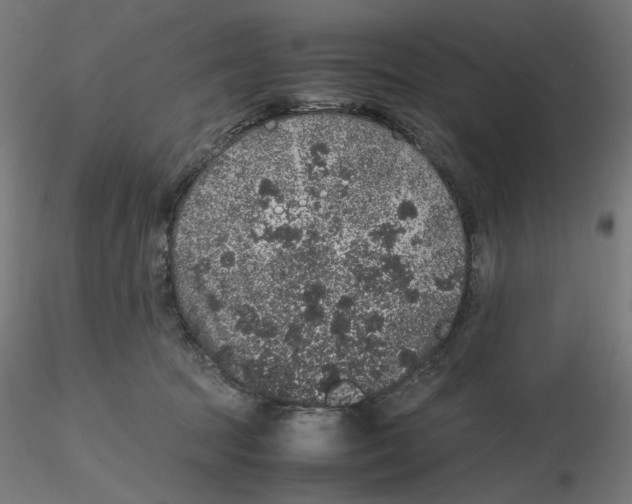 X0000116100369200912211616