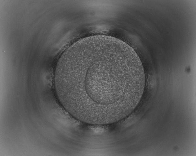 X0000116100370200912211616