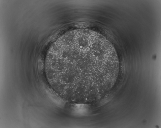 X0000116100371200912211616