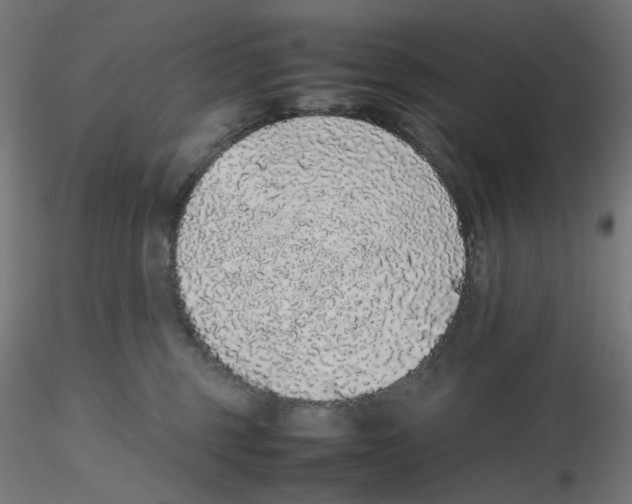 X0000116100375200912211616