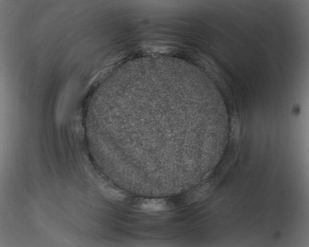 X0000116100377200912211616