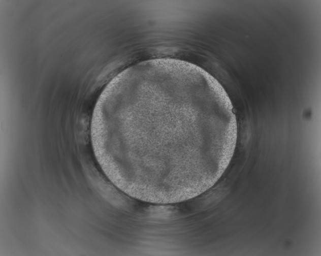 X0000116100378200912211616