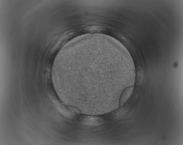 X0000116100379200912211616