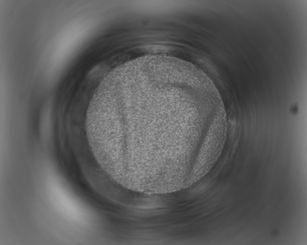 X0000116100381200912211616