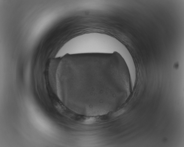 X0000116100382200912211616