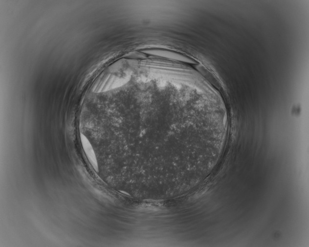 X0000116100386200912211616