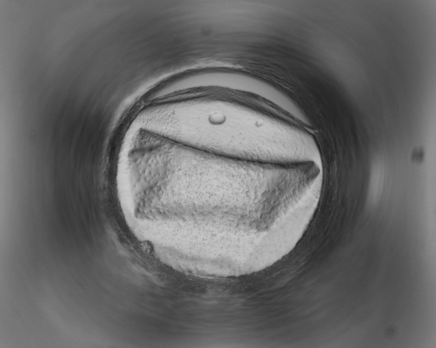 X0000116100388200912211616