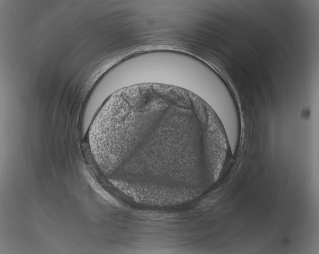 X0000116100389200912211616