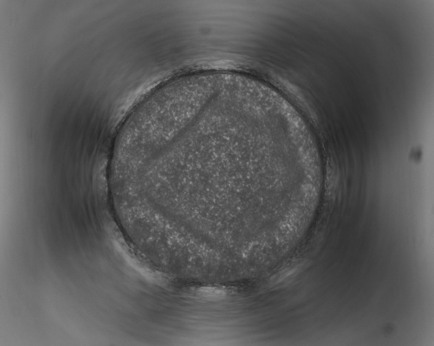 X0000116100394200912211616