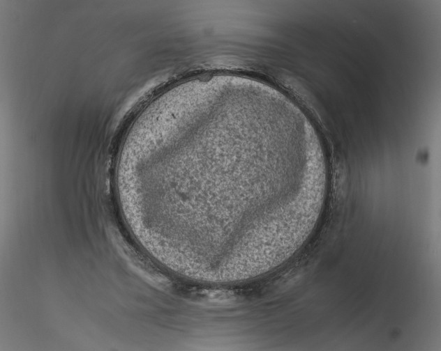 X0000116100395200912211616