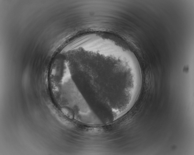 X0000116100398200912211616