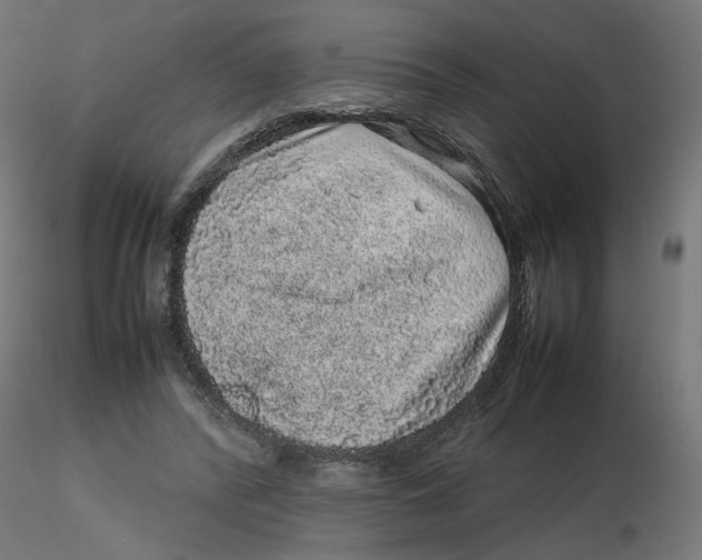 X0000116100400200912211616