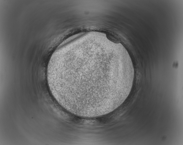 X0000116100401200912211616