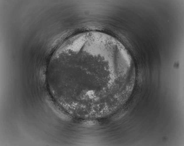 X0000116100402200912211615