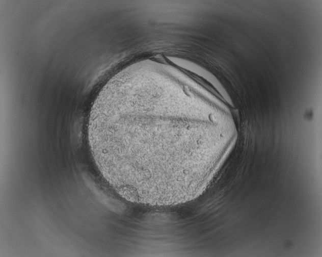 X0000116100404200912211615