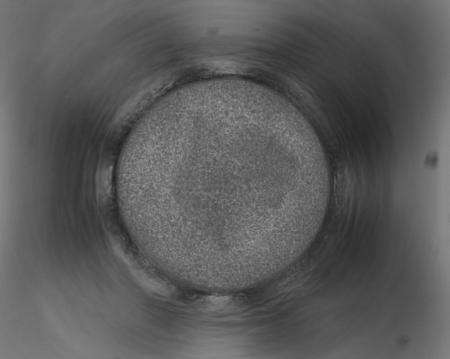 X0000116100406200912211615