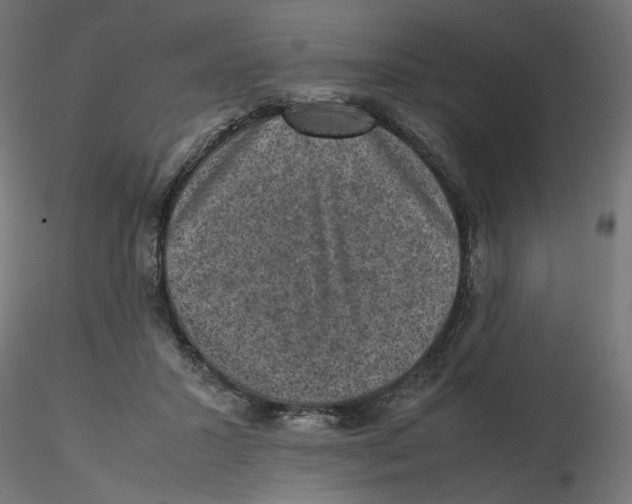 X0000116100407200912211615