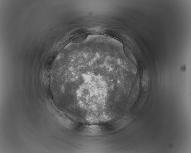 X0000116100409200912211615