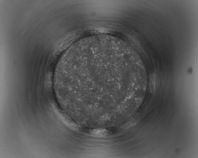 X0000116100410200912211615