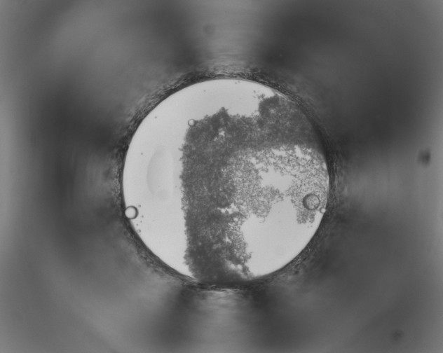 X0000116100411200912211615