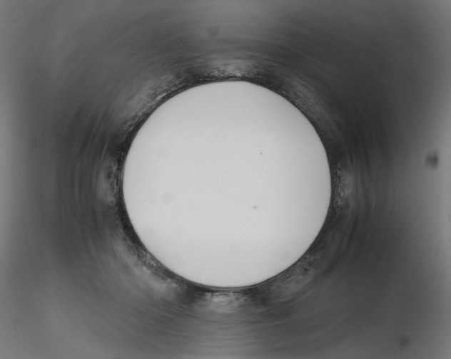 X0000116100414200912211615