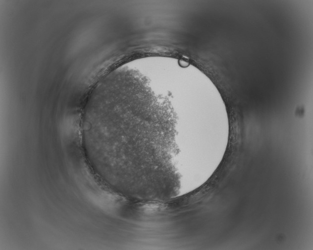 X0000116100415200912211615