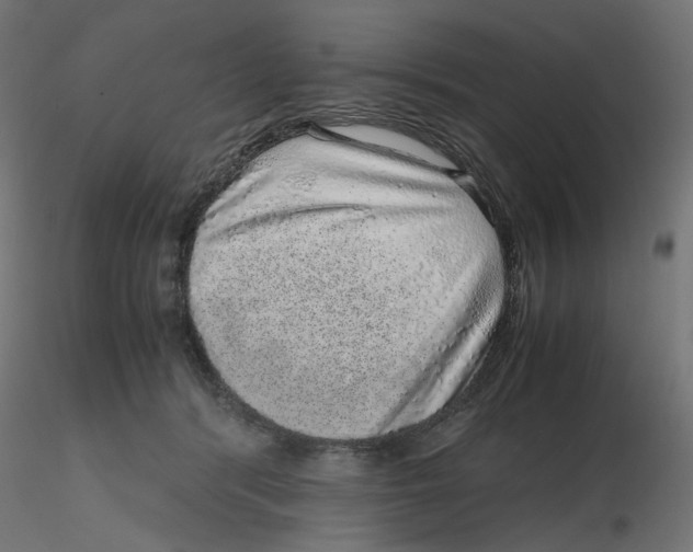 X0000116100416200912211615