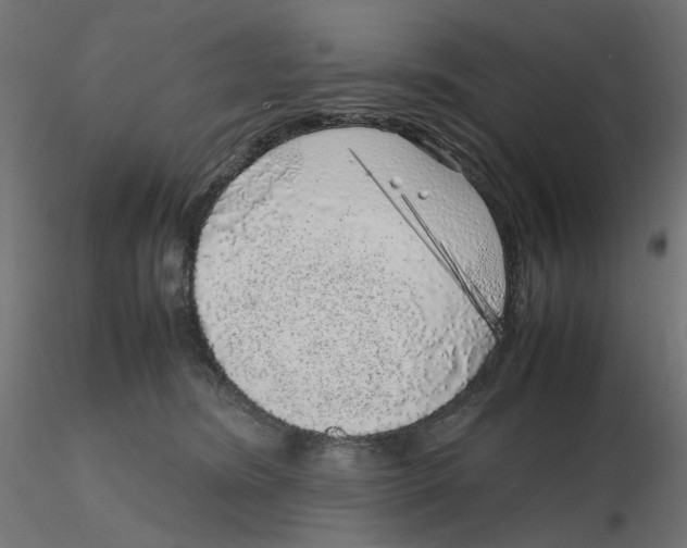 X0000116100420200912211615