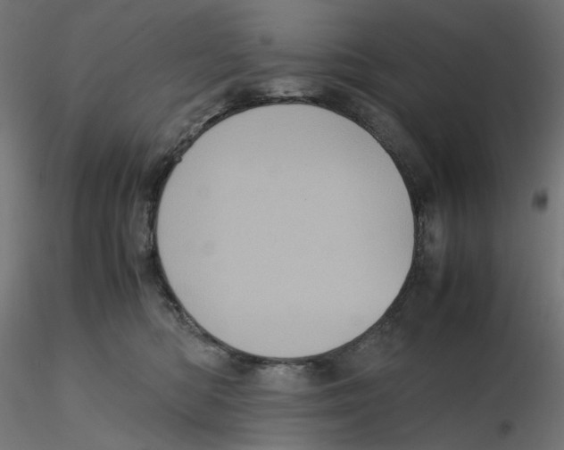 X0000116100422200912211615