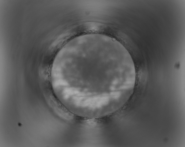 X0000116100423200912211615