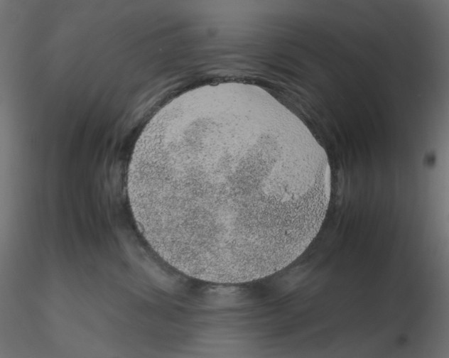 X0000116100428200912211615