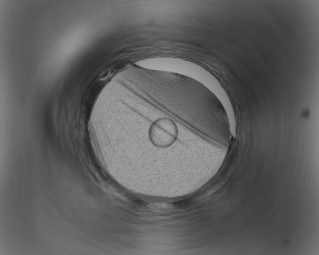 X0000116100429200912211615