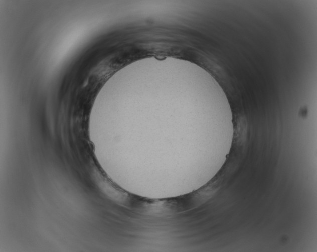 X0000116100430200912211615