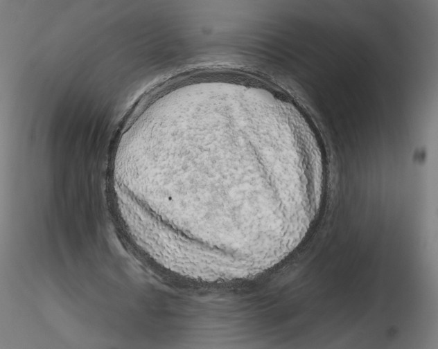 X0000116100434200912211614