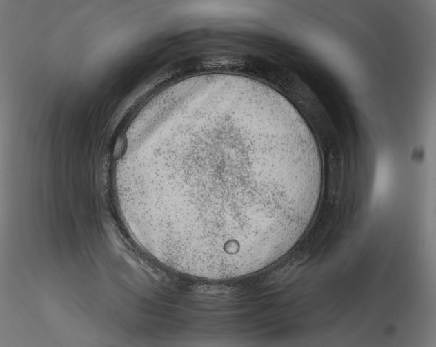 X0000116100435200912211614