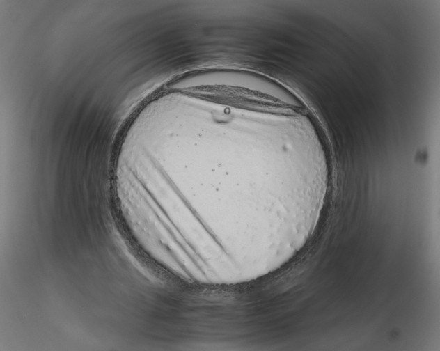 X0000116100437200912211614