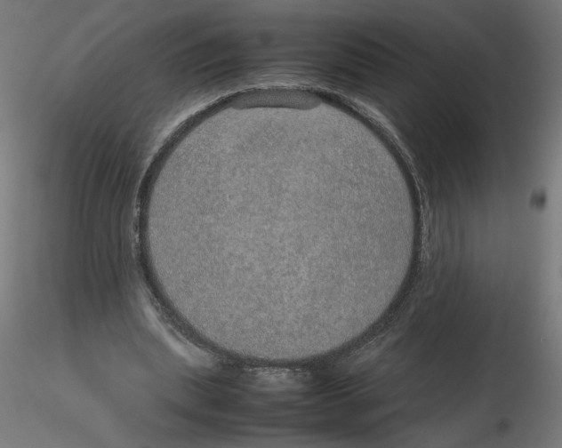 X0000116100439200912211615